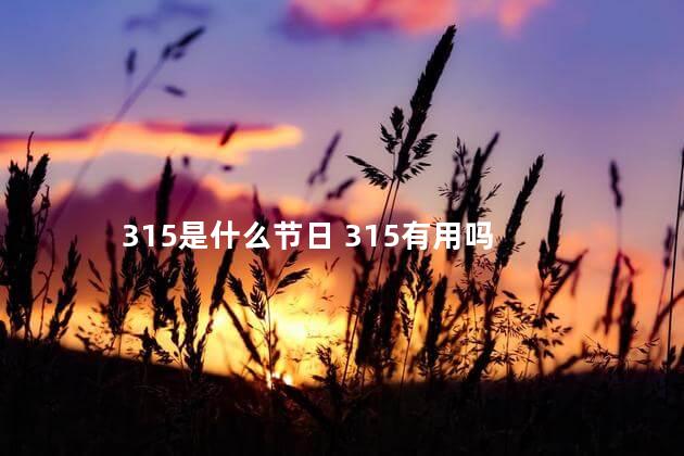 315是什么节日 315有用吗